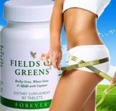 FIBRAS VERDE  (Fields Of Greens)